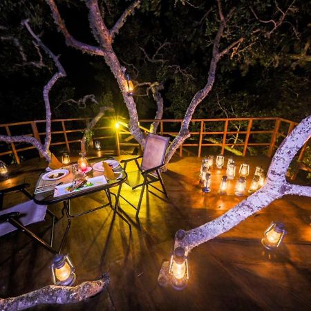 Tribe Yala - Luxury Camping Kültér fotó