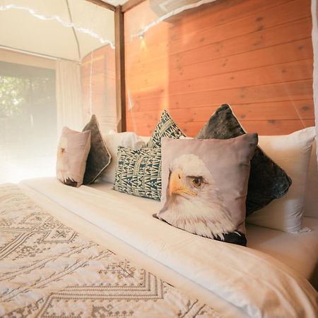 Tribe Yala - Luxury Camping Kültér fotó