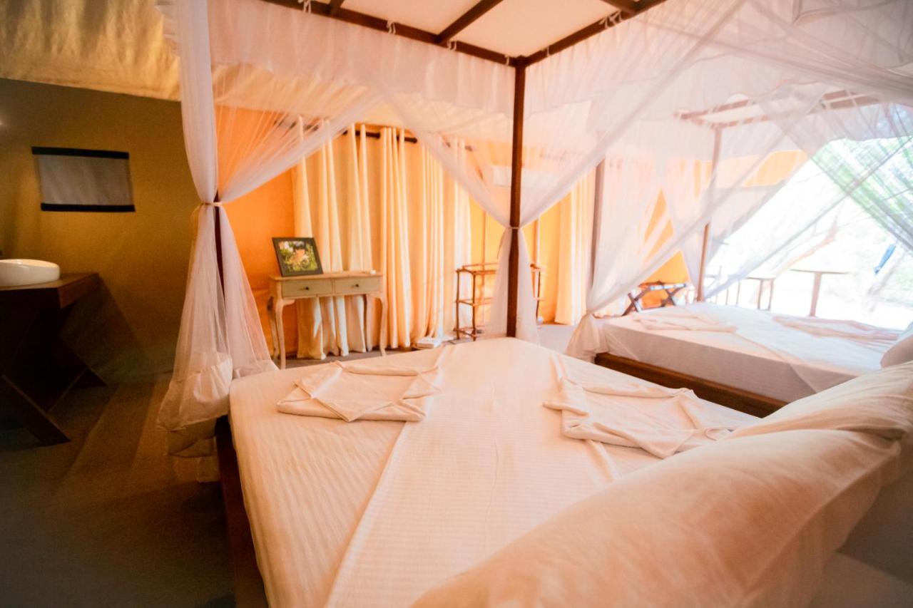 Tribe Yala - Luxury Camping Kültér fotó