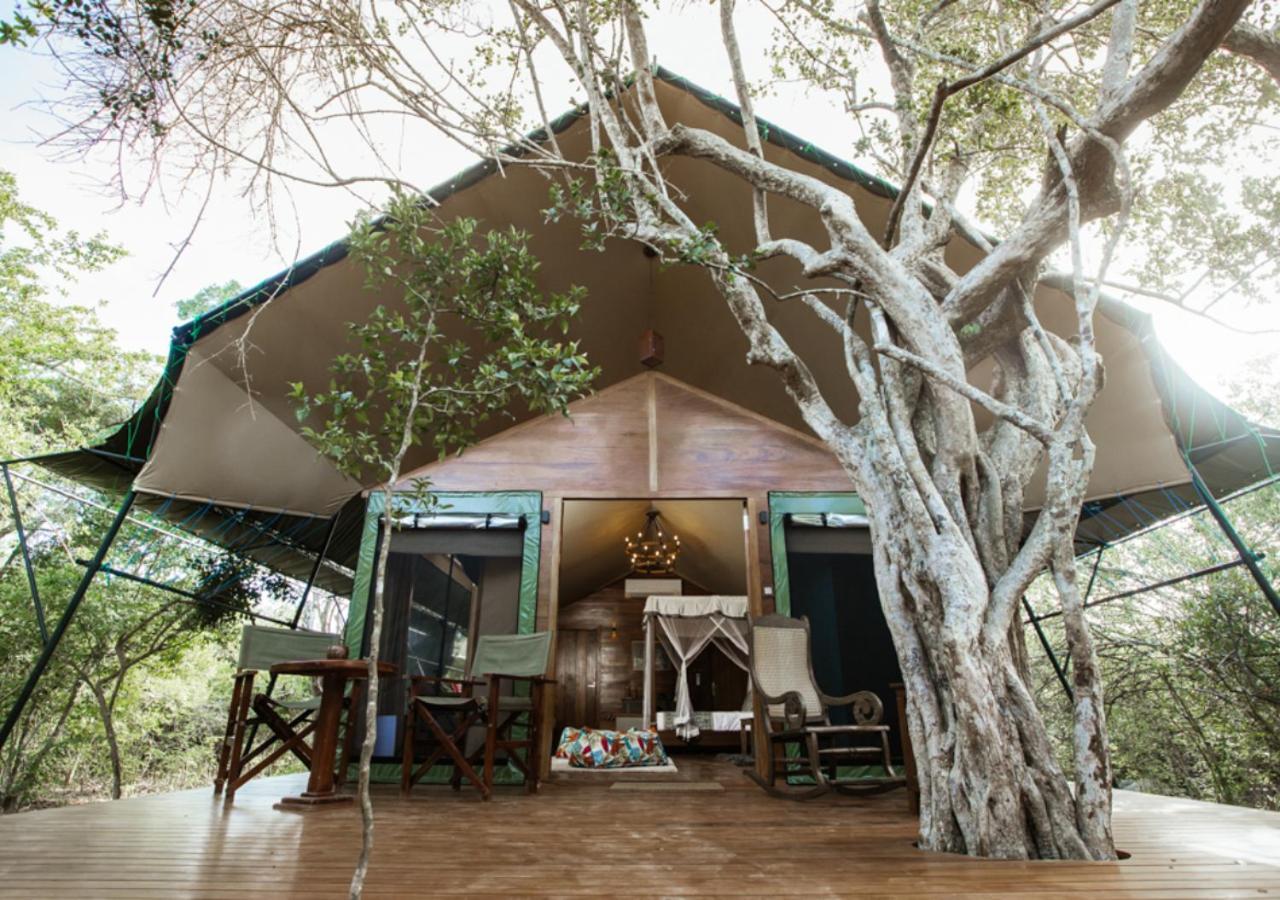 Tribe Yala - Luxury Camping Kültér fotó
