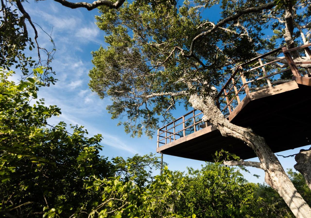 Tribe Yala - Luxury Camping Kültér fotó