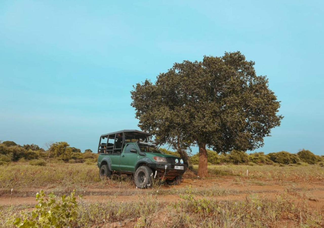 Tribe Yala - Luxury Camping Kültér fotó