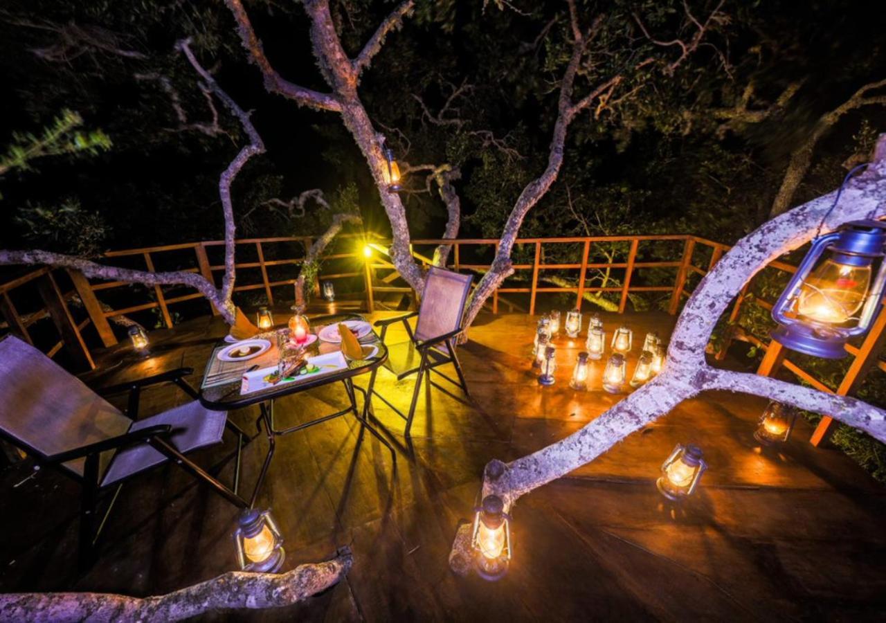Tribe Yala - Luxury Camping Kültér fotó