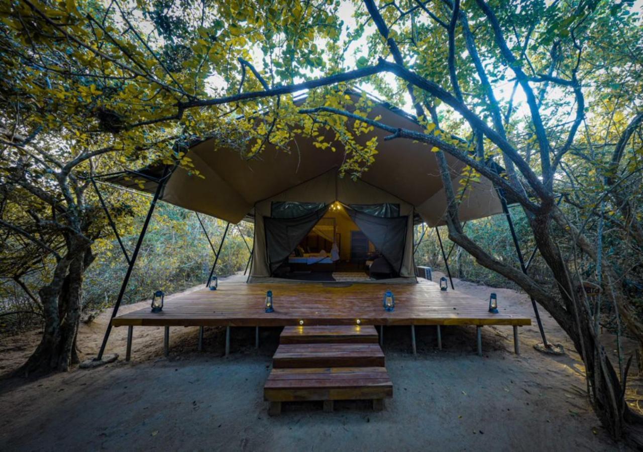 Tribe Yala - Luxury Camping Kültér fotó