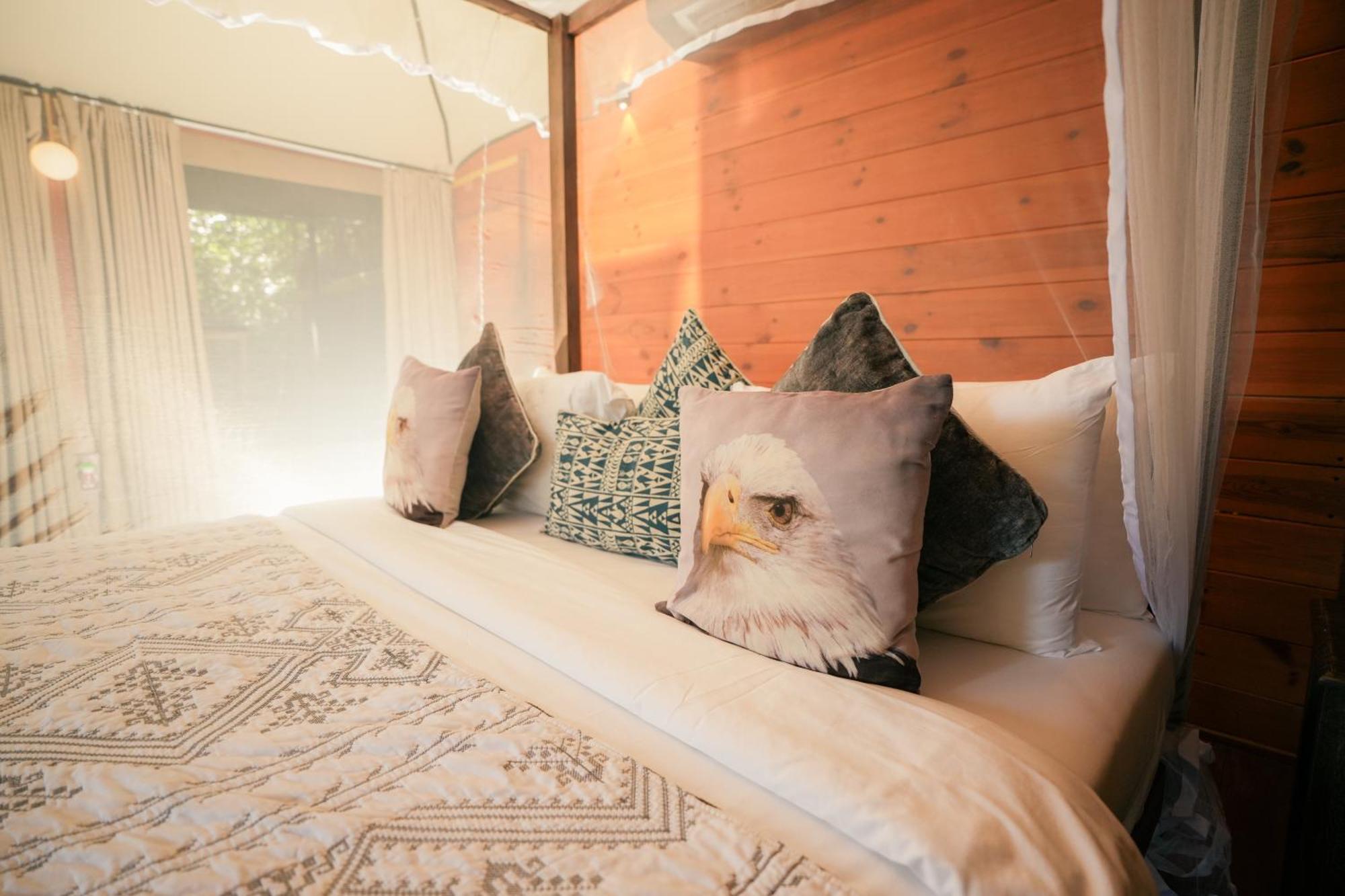 Tribe Yala - Luxury Camping Kültér fotó